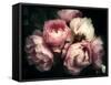 Beautiful Bouquet of Pink Rose Flowers on a Dark Background, Soft and Romantic Vintage Filter, Look-null-Framed Stretched Canvas