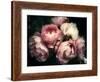 Beautiful Bouquet of Pink Rose Flowers on a Dark Background, Soft and Romantic Vintage Filter, Look-null-Framed Photographic Print