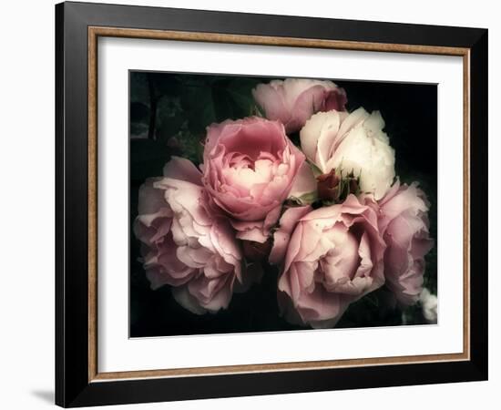 Beautiful Bouquet of Pink Rose Flowers on a Dark Background, Soft and Romantic Vintage Filter, Look-null-Framed Photographic Print