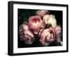 Beautiful Bouquet of Pink Rose Flowers on a Dark Background, Soft and Romantic Vintage Filter, Look-null-Framed Photographic Print