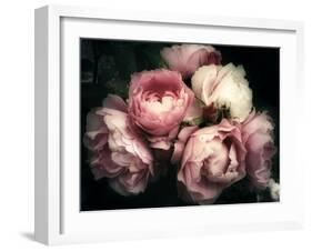 Beautiful Bouquet of Pink Rose Flowers on a Dark Background, Soft and Romantic Vintage Filter, Look-null-Framed Photographic Print