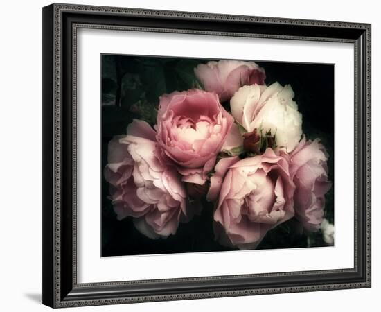 Beautiful Bouquet of Pink Rose Flowers on a Dark Background, Soft and Romantic Vintage Filter, Look-null-Framed Photographic Print