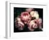 Beautiful Bouquet of Pink Rose Flowers on a Dark Background, Soft and Romantic Vintage Filter, Look-null-Framed Photographic Print