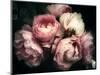 Beautiful Bouquet of Pink Rose Flowers on a Dark Background, Soft and Romantic Vintage Filter, Look-null-Mounted Photographic Print