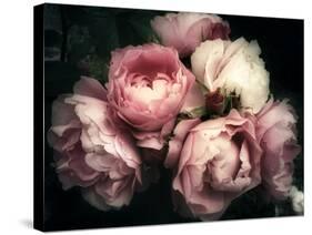 Beautiful Bouquet of Pink Rose Flowers on a Dark Background, Soft and Romantic Vintage Filter, Look-null-Stretched Canvas