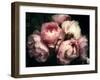 Beautiful Bouquet of Pink Rose Flowers on a Dark Background, Soft and Romantic Vintage Filter, Look-null-Framed Premium Photographic Print