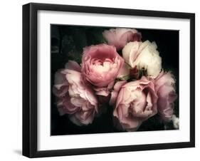 Beautiful Bouquet of Pink Rose Flowers on a Dark Background, Soft and Romantic Vintage Filter, Look-null-Framed Premium Photographic Print