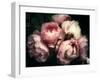 Beautiful Bouquet of Pink Rose Flowers on a Dark Background, Soft and Romantic Vintage Filter, Look-null-Framed Premium Photographic Print