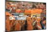 Beautiful Brasov Cityscape Top View in Romania-RossHelen-Mounted Photographic Print