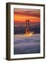 Beautiful Brew, Early Morning at Golden Gate Bridge, San Francisco-Vincent James-Framed Premium Photographic Print