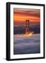 Beautiful Brew, Early Morning at Golden Gate Bridge, San Francisco-Vincent James-Framed Premium Photographic Print