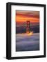 Beautiful Brew, Early Morning at Golden Gate Bridge, San Francisco-Vincent James-Framed Photographic Print