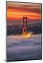 Beautiful Brew, Early Morning at Golden Gate Bridge, San Francisco-Vincent James-Mounted Photographic Print