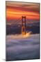 Beautiful Brew, Early Morning at Golden Gate Bridge, San Francisco-Vincent James-Mounted Photographic Print