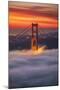 Beautiful Brew, Early Morning at Golden Gate Bridge, San Francisco-Vincent James-Mounted Photographic Print