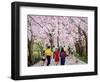 Beautiful Bright Spring Day, 1994-Komi Chen-Framed Giclee Print