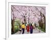 Beautiful Bright Spring Day, 1994-Komi Chen-Framed Giclee Print