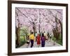 Beautiful Bright Spring Day, 1994-Komi Chen-Framed Giclee Print