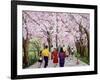 Beautiful Bright Spring Day, 1994-Komi Chen-Framed Giclee Print