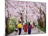 Beautiful Bright Spring Day, 1994-Komi Chen-Mounted Giclee Print