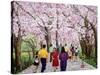 Beautiful Bright Spring Day, 1994-Komi Chen-Stretched Canvas