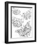 Beautiful Butterflies_4-Hello Angel-Framed Premium Giclee Print