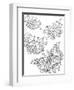 Beautiful Butterflies_4-Hello Angel-Framed Premium Giclee Print