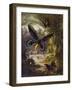 Beautiful Butterflies: Troides Alexandrae, the Largest of All Butterflies (Colour Litho)-Arthur Twidle-Framed Giclee Print