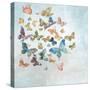 Beautiful Butterflies v3 Sq Light-Danhui Nai-Stretched Canvas