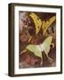 Beautiful Butterflies: Various Moths, with the Most Wonderful Moth in the World, from Madagascar (C-Arthur Twidle-Framed Giclee Print