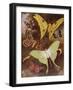 Beautiful Butterflies: Various Moths, with the Most Wonderful Moth in the World, from Madagascar (C-Arthur Twidle-Framed Giclee Print