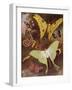 Beautiful Butterflies: Various Moths, with the Most Wonderful Moth in the World, from Madagascar (C-Arthur Twidle-Framed Giclee Print