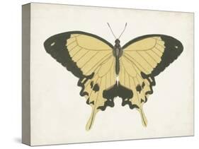 Beautiful Butterfly I-Vision Studio-Stretched Canvas