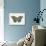 Beautiful Butterfly II-Vision Studio-Art Print displayed on a wall