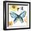 Beautiful Butterfly III-Sara Zieve Miller-Framed Art Print