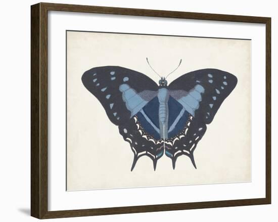 Beautiful Butterfly III-Vision Studio-Framed Art Print