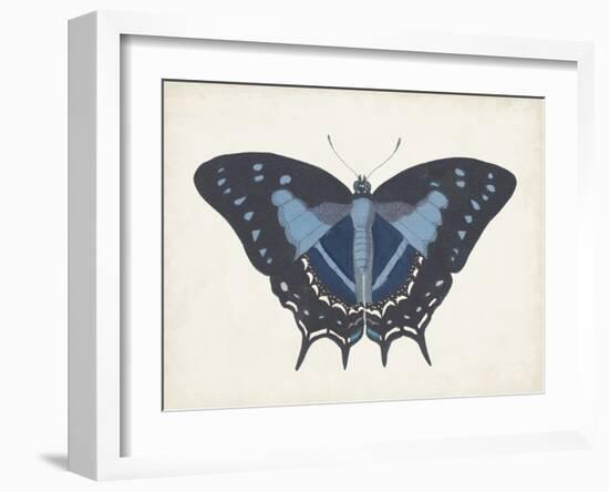 Beautiful Butterfly III-Vision Studio-Framed Art Print