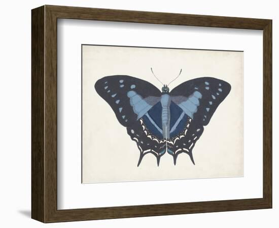 Beautiful Butterfly III-Vision Studio-Framed Art Print