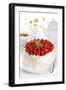 Beautiful Cake with Strawberries and Cream-legaa-Framed Photographic Print