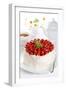 Beautiful Cake with Strawberries and Cream-legaa-Framed Photographic Print