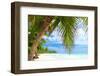 Beautiful Caribbean Beach in Dominican Republic-haveseen-Framed Photographic Print