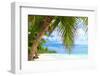 Beautiful Caribbean Beach in Dominican Republic-haveseen-Framed Photographic Print