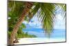 Beautiful Caribbean Beach in Dominican Republic-haveseen-Mounted Photographic Print