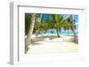 Beautiful Caribbean Beach in Dominican Republic-haveseen-Framed Photographic Print