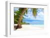 Beautiful Caribbean Beach in Dominican Republic-haveseen-Framed Photographic Print