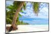 Beautiful Caribbean Beach in Dominican Republic-haveseen-Mounted Photographic Print