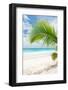 Beautiful Caribbean Beach in Dominican Republic-haveseen-Framed Photographic Print