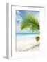 Beautiful Caribbean Beach in Dominican Republic-haveseen-Framed Photographic Print