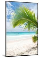 Beautiful Caribbean Beach in Dominican Republic-haveseen-Mounted Photographic Print
