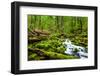 Beautiful Cascade Waterfall in Sol Duc Falls Trail, Olympic National Park, Wa, US-kan_khampanya-Framed Photographic Print